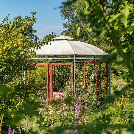 Im Haus Ginkgo Lejlighed *