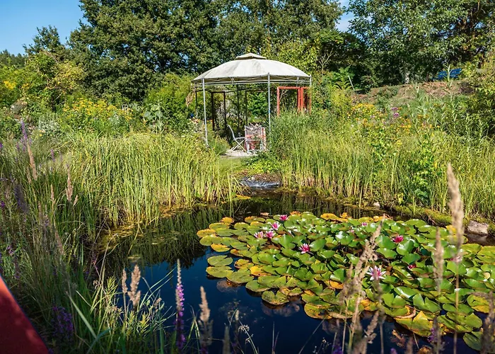 Im Haus Ginkgo شقة *