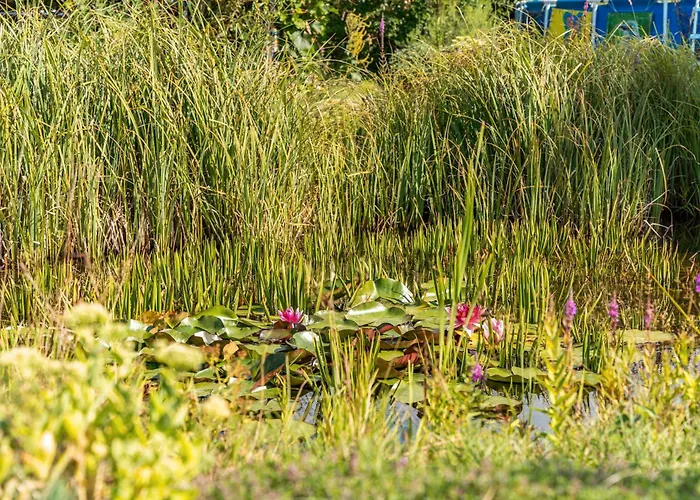 شقة Im Haus Ginkgo Zempow